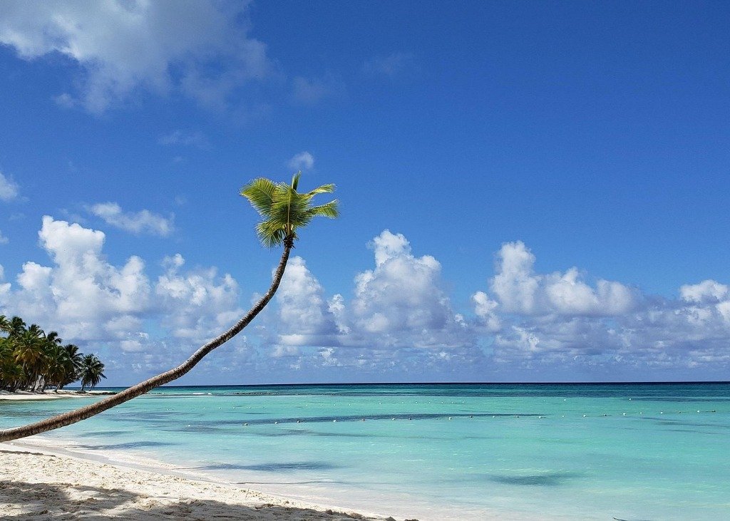 Saona Island Group 8